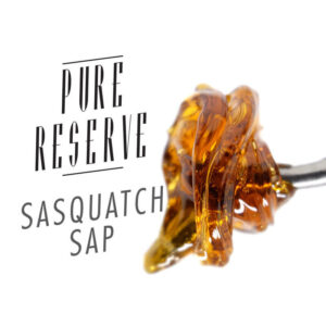 Sasquatch Sap Premium Live Resin – Pure Reserve