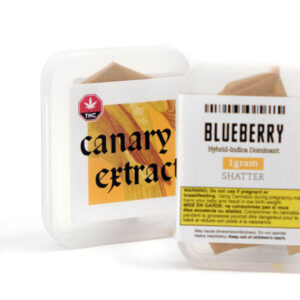 Blueberry Shatter – Canary Extract