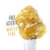 Pure Reserve – White Fire Premium Rosin